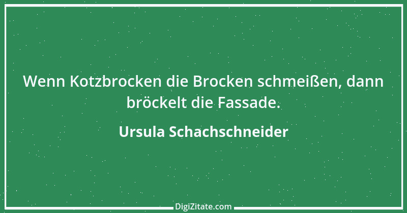 Zitat von Ursula Schachschneider 9