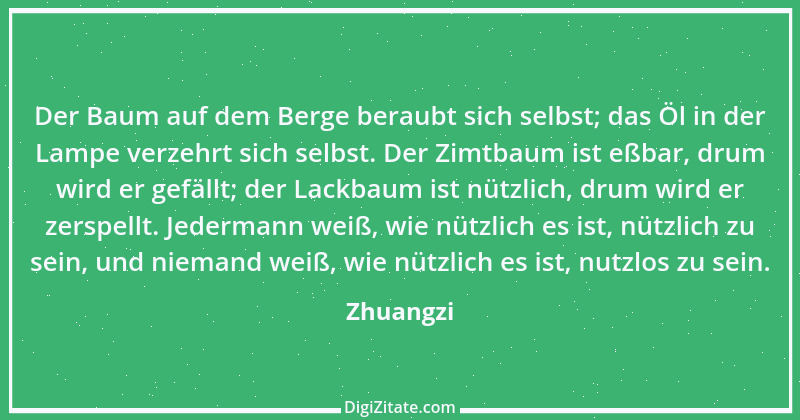 Zitat von Zhuangzi 83