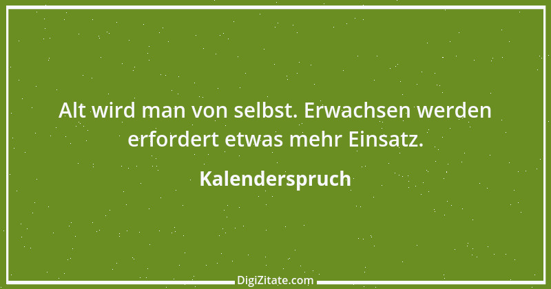 Zitat von Kalenderspruch 33