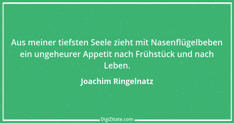 Zitat von Joachim Ringelnatz 113