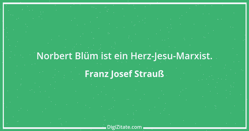 Zitat von Franz Josef Strauß 85