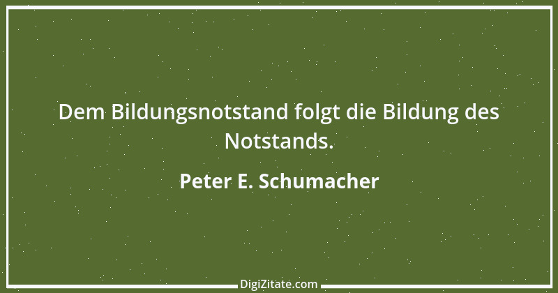 Zitat von Peter E. Schumacher 426