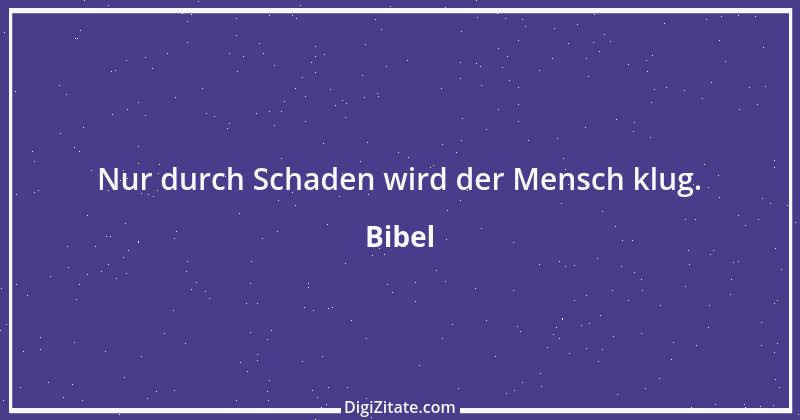 Zitat von Bibel 1658