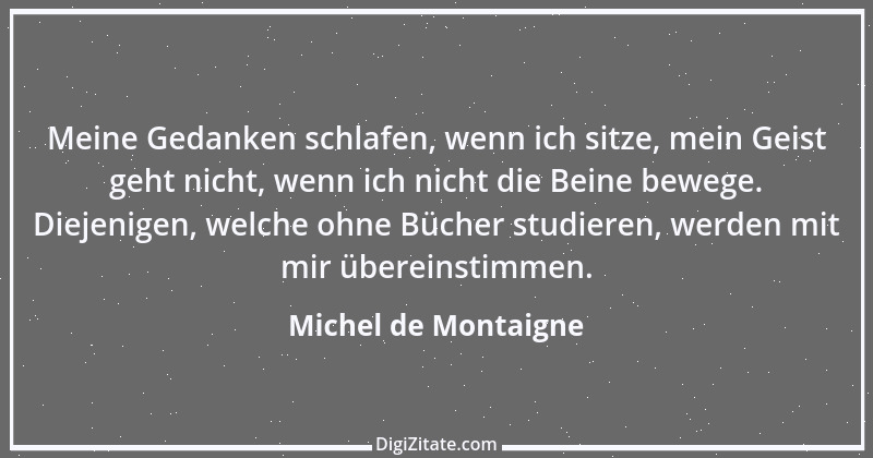 Zitat von Michel de Montaigne 311