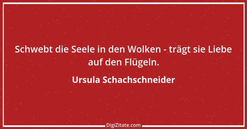 Zitat von Ursula Schachschneider 14