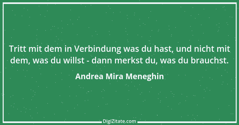 Zitat von Andrea Mira Meneghin 215