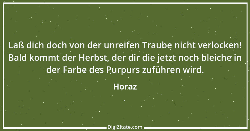 Zitat von Horaz 31