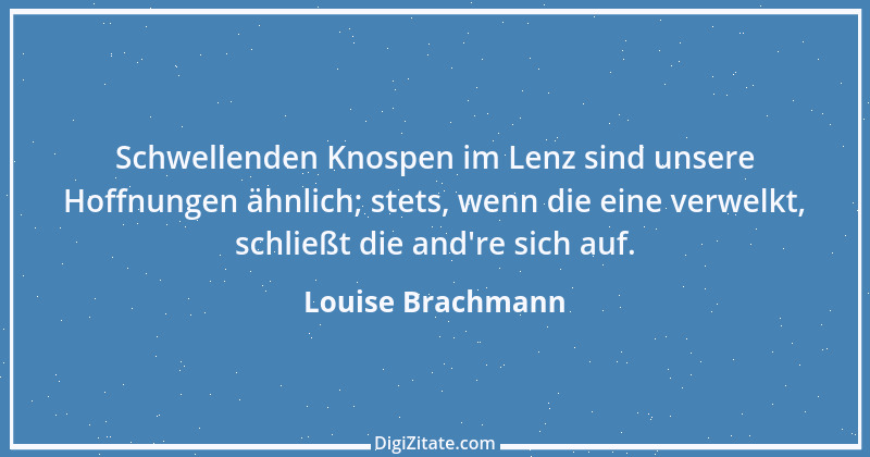 Zitat von Louise Brachmann 2