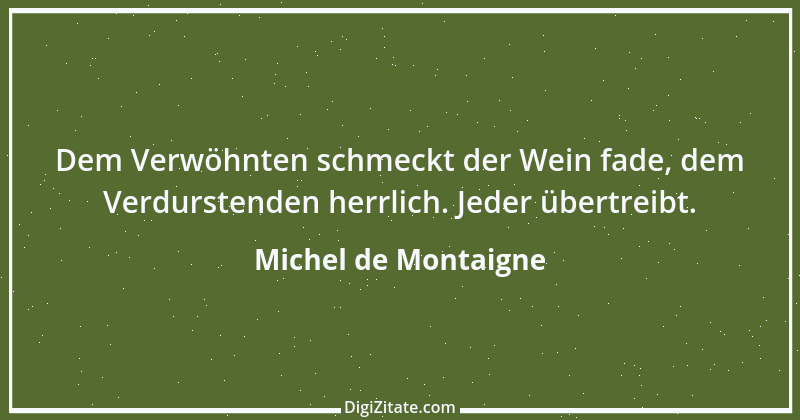 Zitat von Michel de Montaigne 313