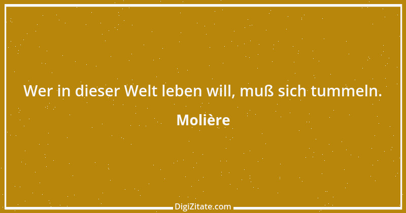 Zitat von Molière 28