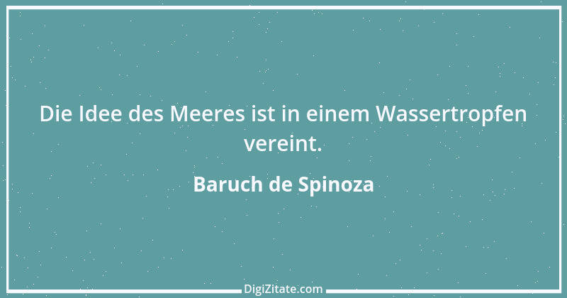 Zitat von Baruch de Spinoza 104