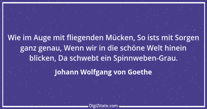 Zitat von Johann Wolfgang von Goethe 2816