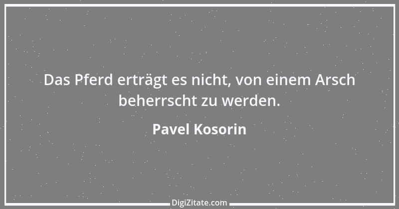 Zitat von Pavel Kosorin 199