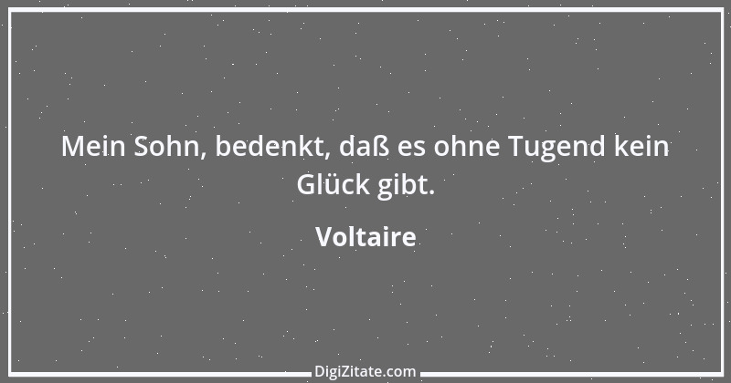 Zitat von Voltaire 461