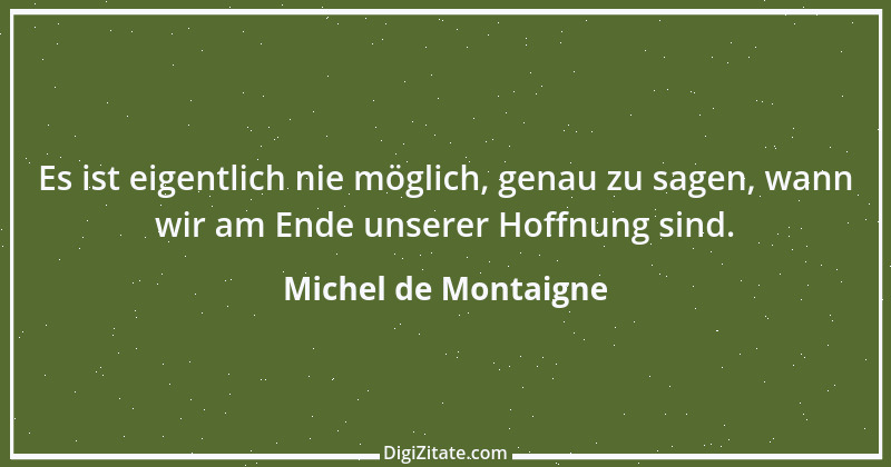 Zitat von Michel de Montaigne 314