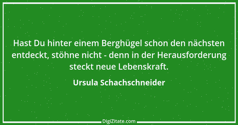 Zitat von Ursula Schachschneider 17