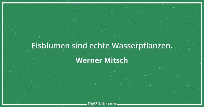 Zitat von Werner Mitsch 330