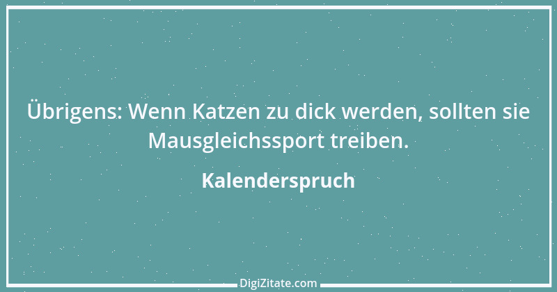 Zitat von Kalenderspruch 41