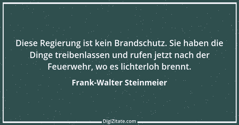 Zitat von Frank-Walter Steinmeier 15