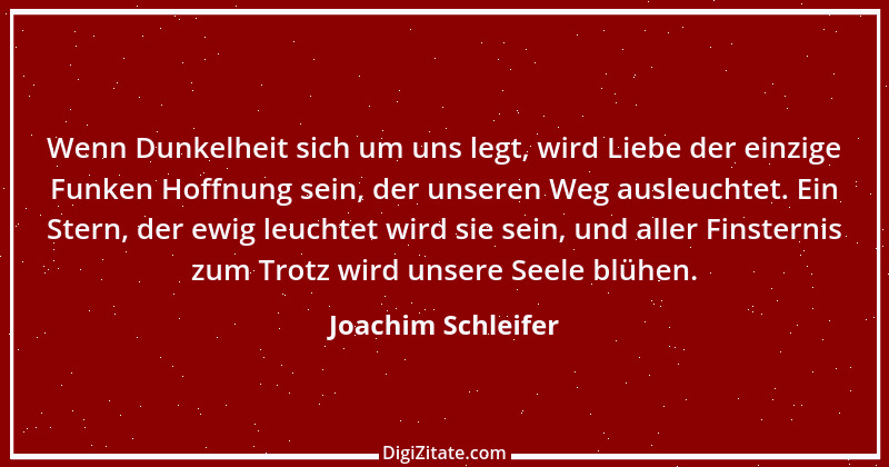 Zitat von Joachim Schleifer 1