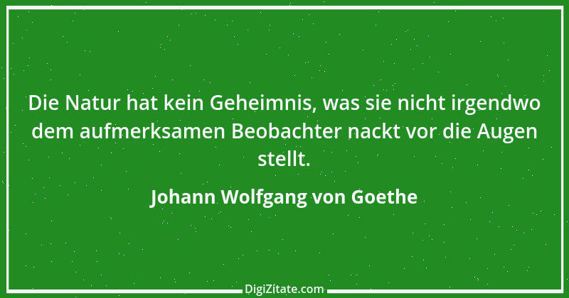 Zitat von Johann Wolfgang von Goethe 628