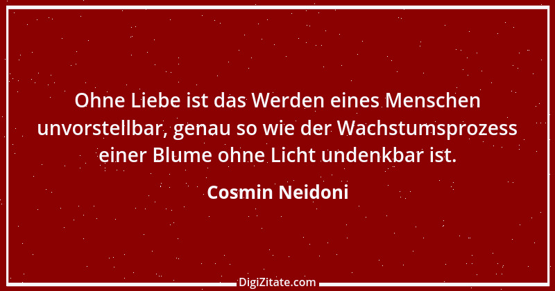 Zitat von Cosmin Neidoni 15