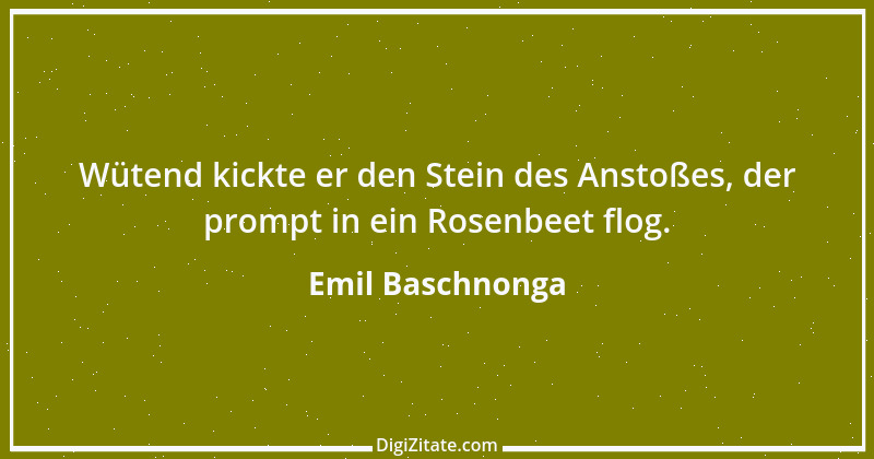 Zitat von Emil Baschnonga 25