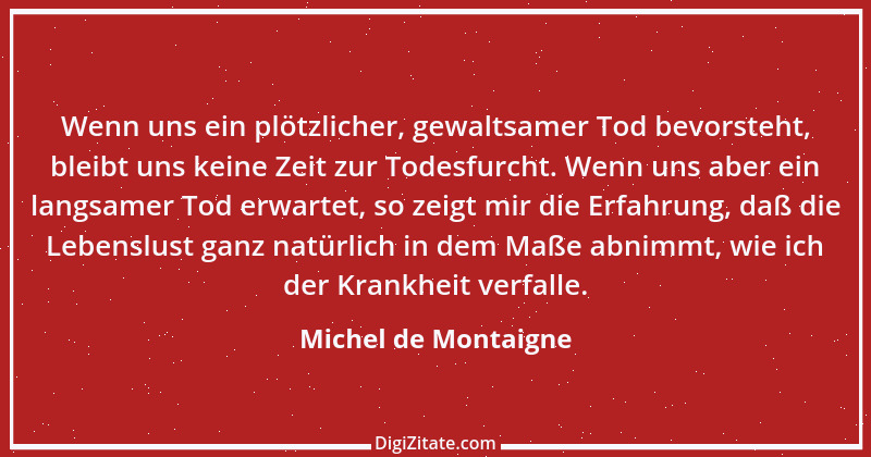 Zitat von Michel de Montaigne 318