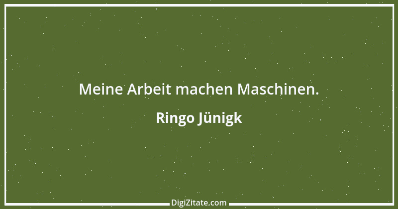 Zitat von Ringo Jünigk 11