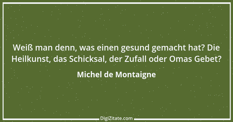 Zitat von Michel de Montaigne 319