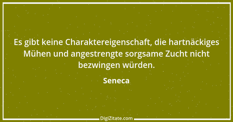 Zitat von Seneca 767