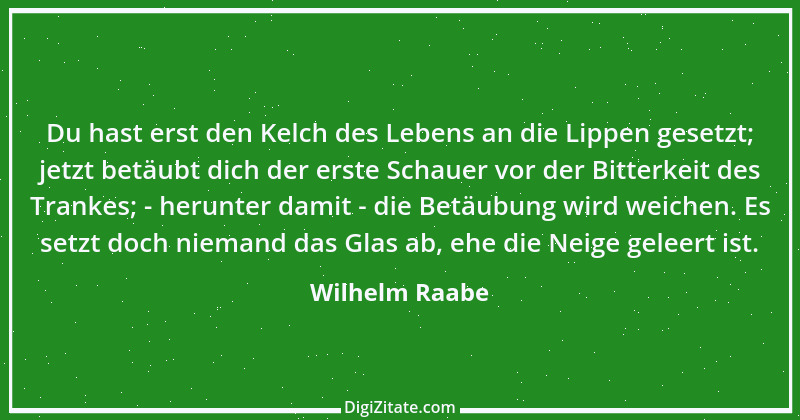 Zitat von Wilhelm Raabe 110