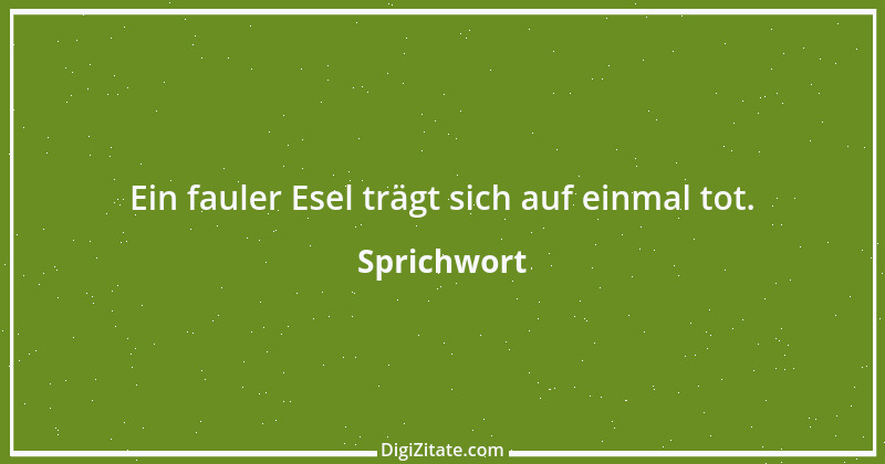 Zitat von Sprichwort 9626