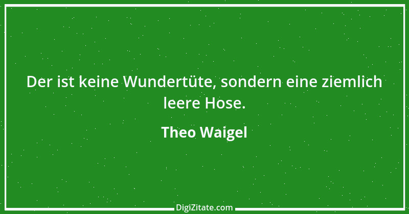 Zitat von Theo Waigel 17