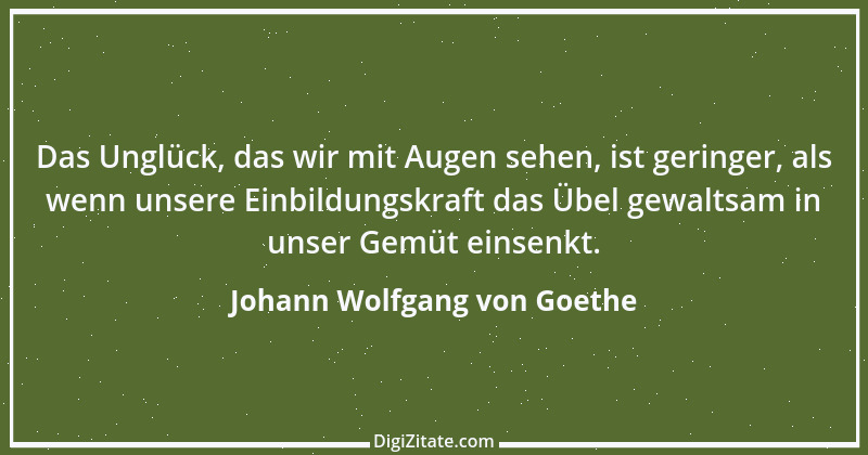 Zitat von Johann Wolfgang von Goethe 3635