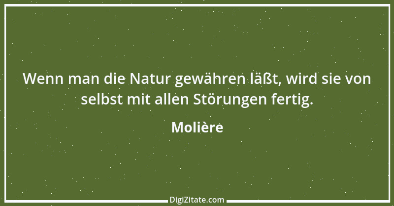 Zitat von Molière 39