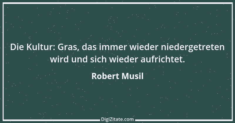 Zitat von Robert Musil 110