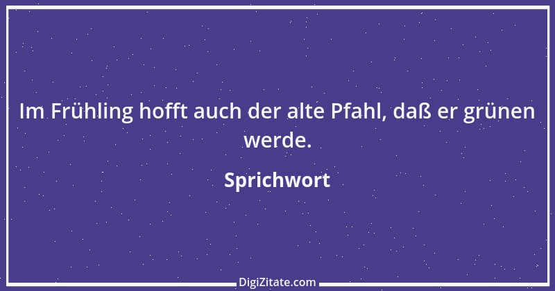 Zitat von Sprichwort 12628