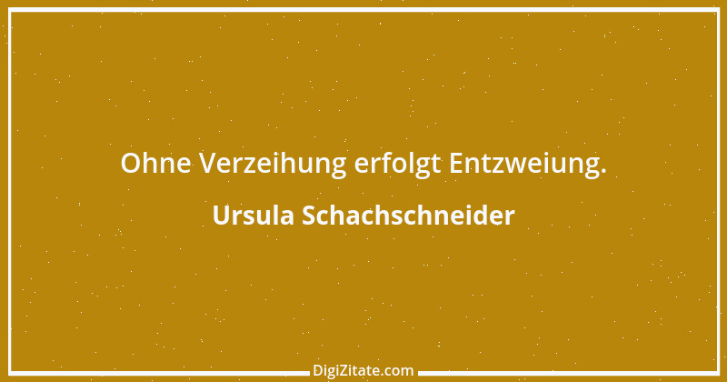 Zitat von Ursula Schachschneider 27