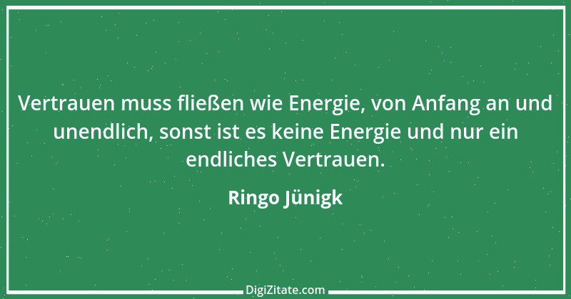 Zitat von Ringo Jünigk 18