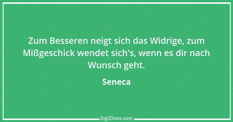 Zitat von Seneca 773