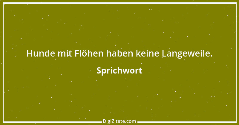 Zitat von Sprichwort 2629