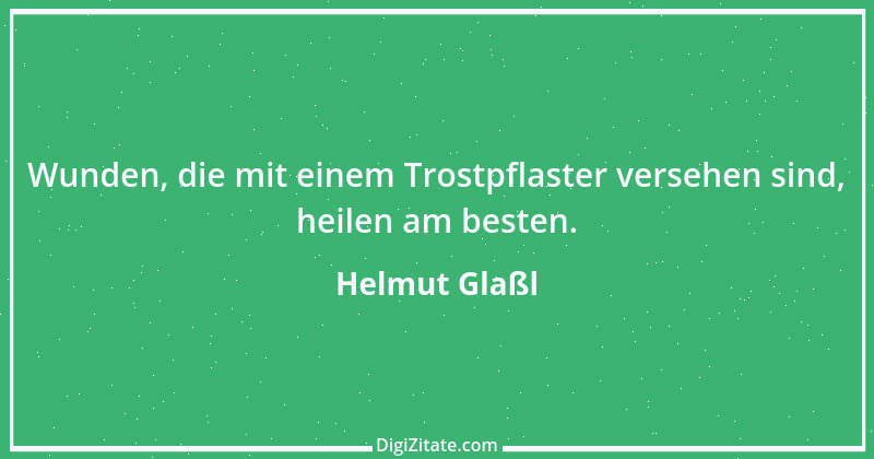 Zitat von Helmut Glaßl 590