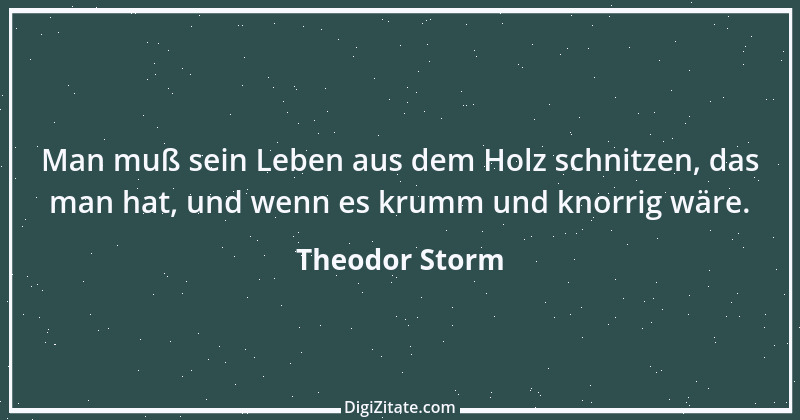 Zitat von Theodor Storm 58