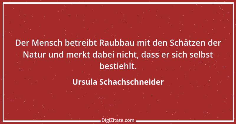 Zitat von Ursula Schachschneider 29