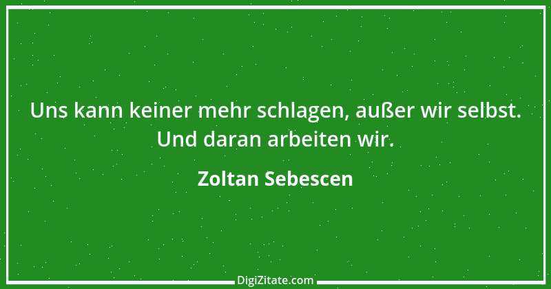 Zitat von Zoltan Sebescen 1