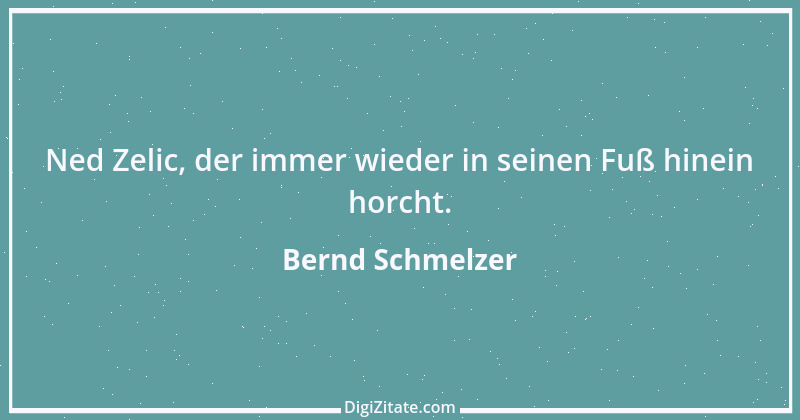 Zitat von Bernd Schmelzer 1