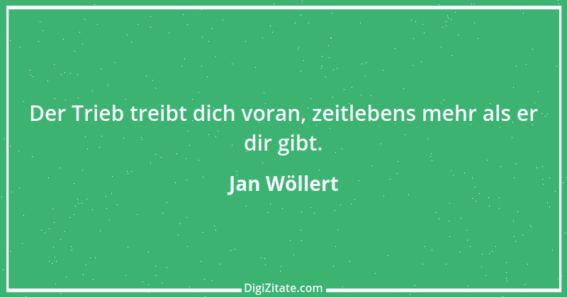 Zitat von Jan Wöllert 128