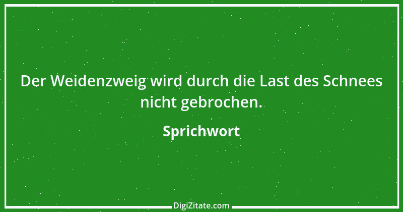 Zitat von Sprichwort 5631