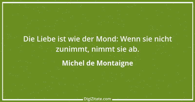 Zitat von Michel de Montaigne 328